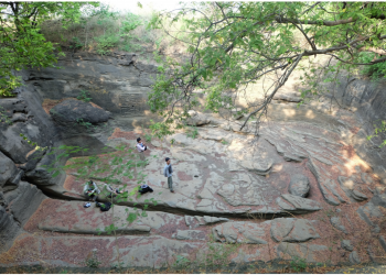 Source: Iannone et al. 2024