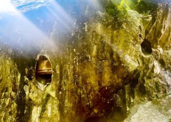 Source: Phys.org, 20240123