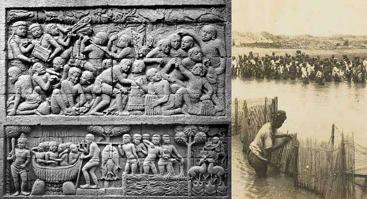 Source: Perttola and Kallio 2024