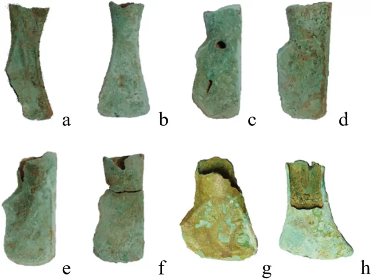 Yang et al. 2024