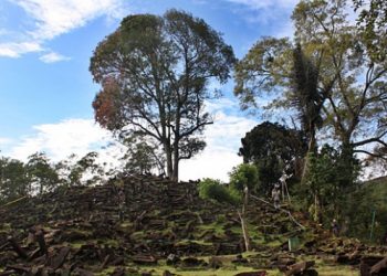 Source: Tempo 20240201