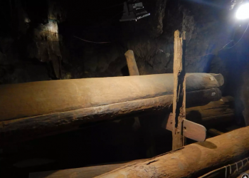 Source: MPG 20240206