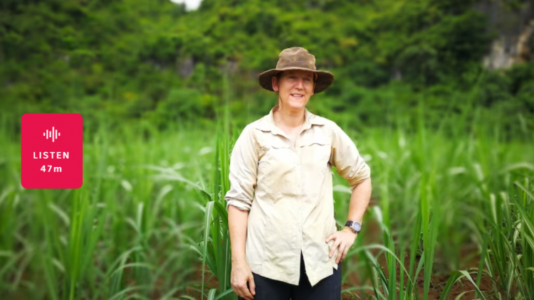 The Lost Giants: Unraveling the Fate of Gigantopithecus