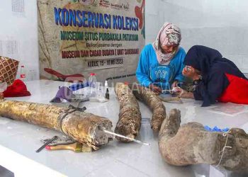 Source: Muria 20240120