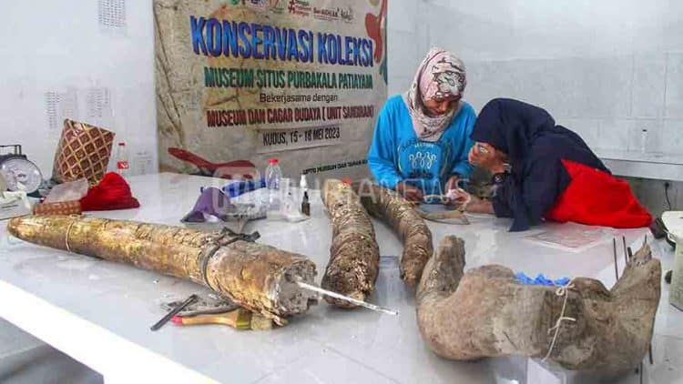 Source: Muria 20240120