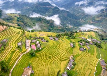 aerial photography of banaue rice terraces
