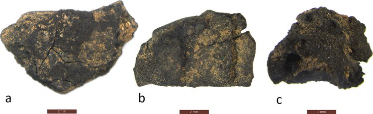 Source: Zhang et al. 2024