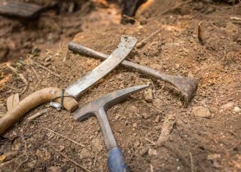 Source: EFEO 20240226