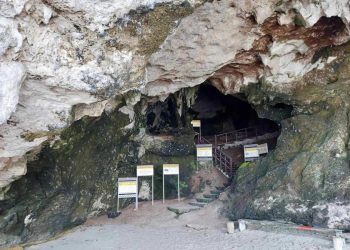 Source: PIA 20240307