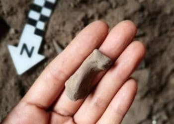 Source: Manila Bulletin 20240301