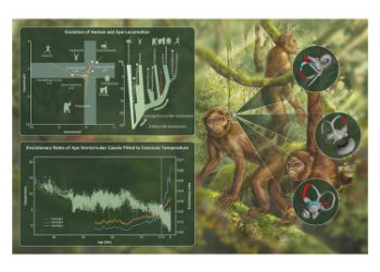 Source: Zhang et al. 2024