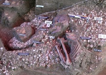 Source: Malay Mail 20240429