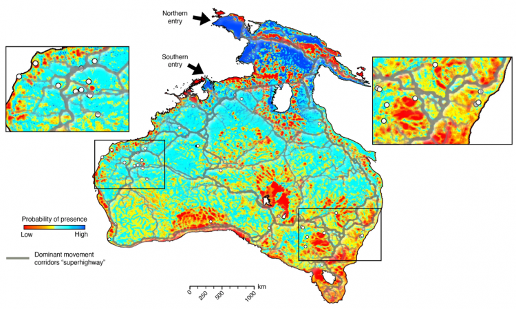 Source: Salles et al. 2024