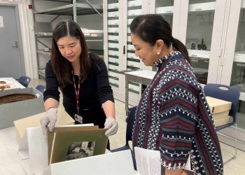 Source: Harvard Gazette 20240529