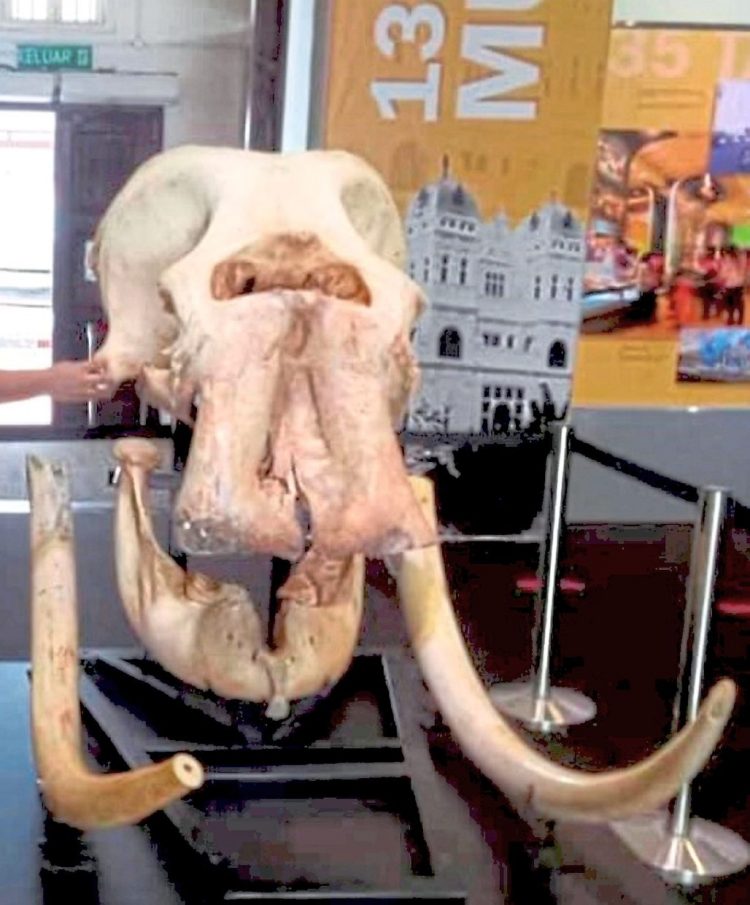 Source: The Star 20240502