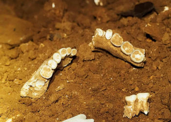 Source: Bangkok Post 20240517