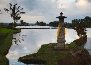Bali Launches Subak Protection Scheme for Sustainable Tourism