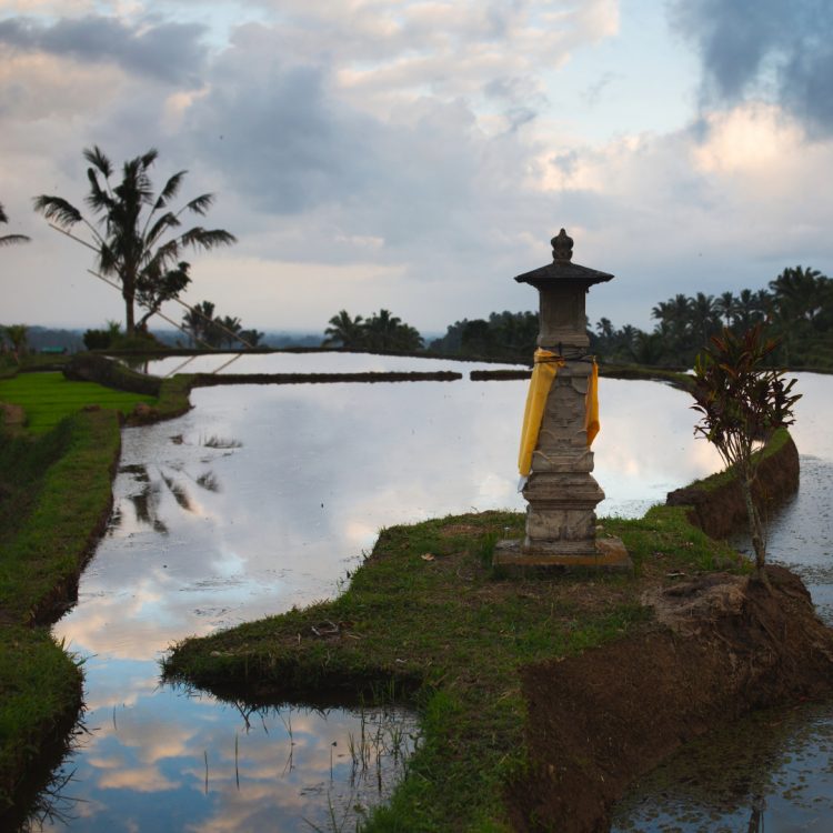 Bali Launches Subak Protection Scheme for Sustainable Tourism