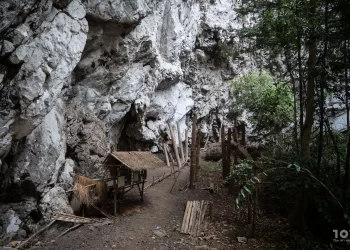 Source: The101world 20240624