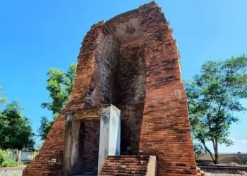 Source: Vietnam News 20240724