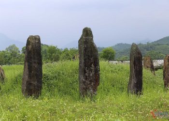 Source: Vietnam Net 20240715