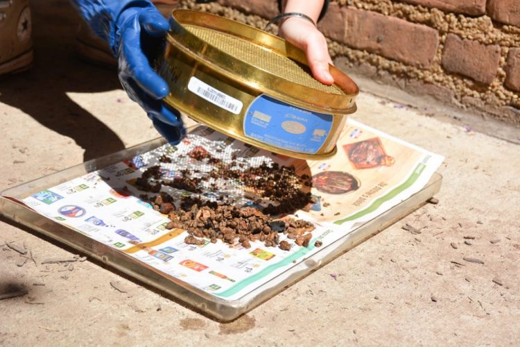 Source: Penn Museum 20240716