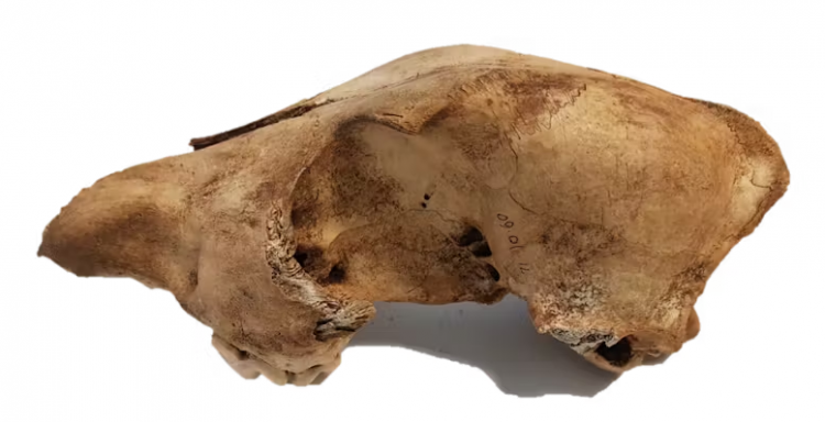 Source: The Conversation 20240708