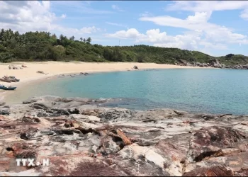 Source: Vietnam Plus 20240712